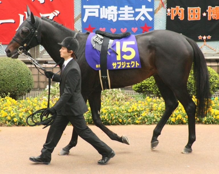 Owning a Racehorse