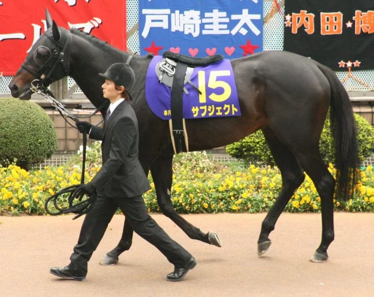 Owning a Racehorse