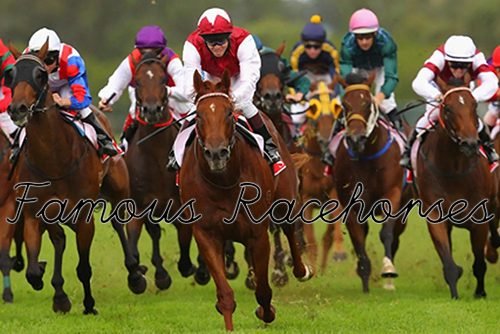 Majority of Famous Racehorses