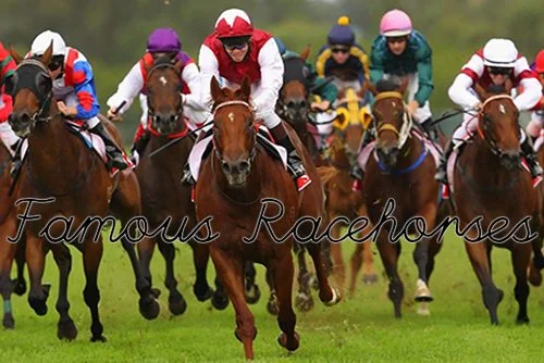 Majority of Famous Racehorses
