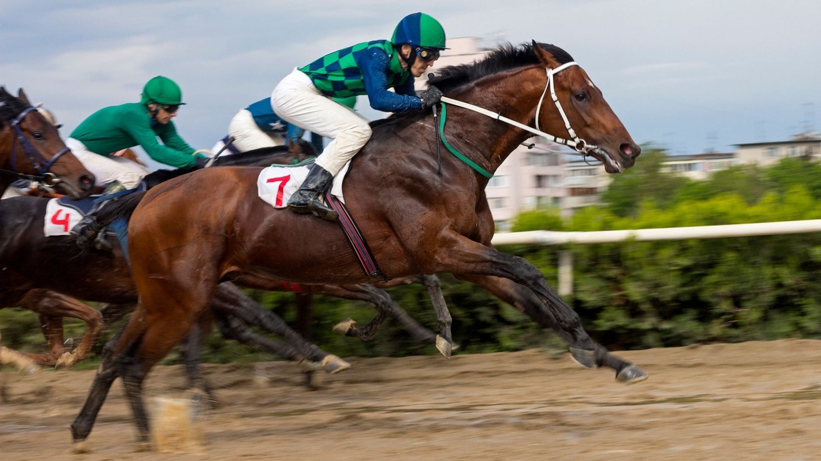 racehorse make you rich